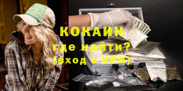 ГАЛЛЮЦИНОГЕННЫЕ ГРИБЫ Богданович