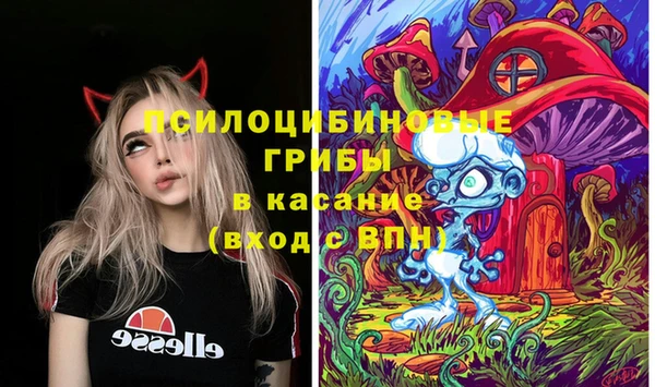стаф Белоозёрский