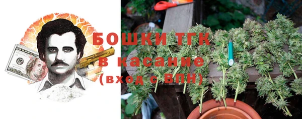 экстази Белокуриха