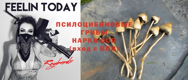 экстази Белокуриха