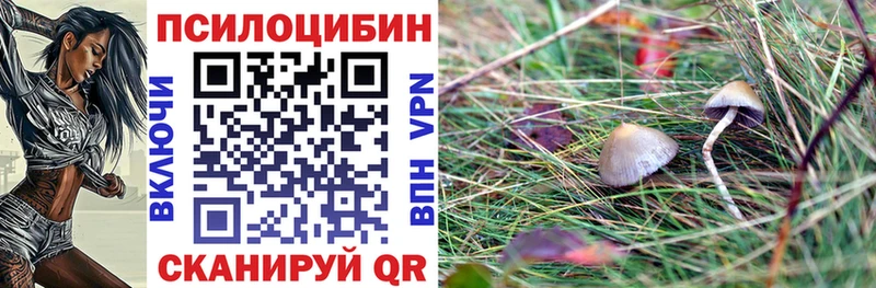 купить  цена  Яранск  Псилоцибиновые грибы Magic Shrooms 